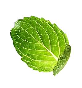 Customer-Loved Ice Cream Shop Image of natural ice cream flavors and toppings at Topping Circus Barcelona, authored by Topping Circus & featured by http://toppingcircus.com/