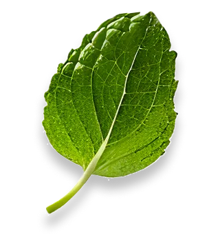 Best Gelato Shop in Barcelona Image of best gelato flavors at one of the top ice cream shops in Barcelona, Topping Circus, authored by Topping Circus & featured by http://toppingcircus.com/