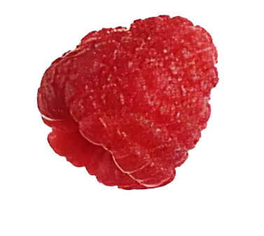 Fresh & Artisanal Ice Cream in Barcelona Image of customers enjoying ice cream at a top ice cream shop in Barcelona, Topping Circus, authored by Topping Circus & featured by http://toppingcircus.com/